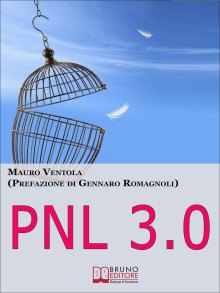 Pnl 3.0