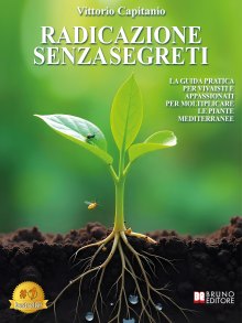 Radicazione Senza Segreti