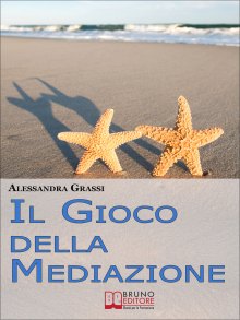 Il Gioco della Mediazione