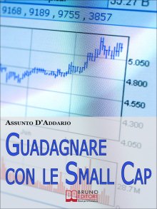 Guadagnare con le Small Cap