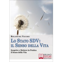Lo Stato SDV: il Senso della Vita