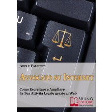 Avvocato su Internet