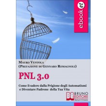 Pnl 3.0