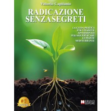 Radicazione Senza Segreti